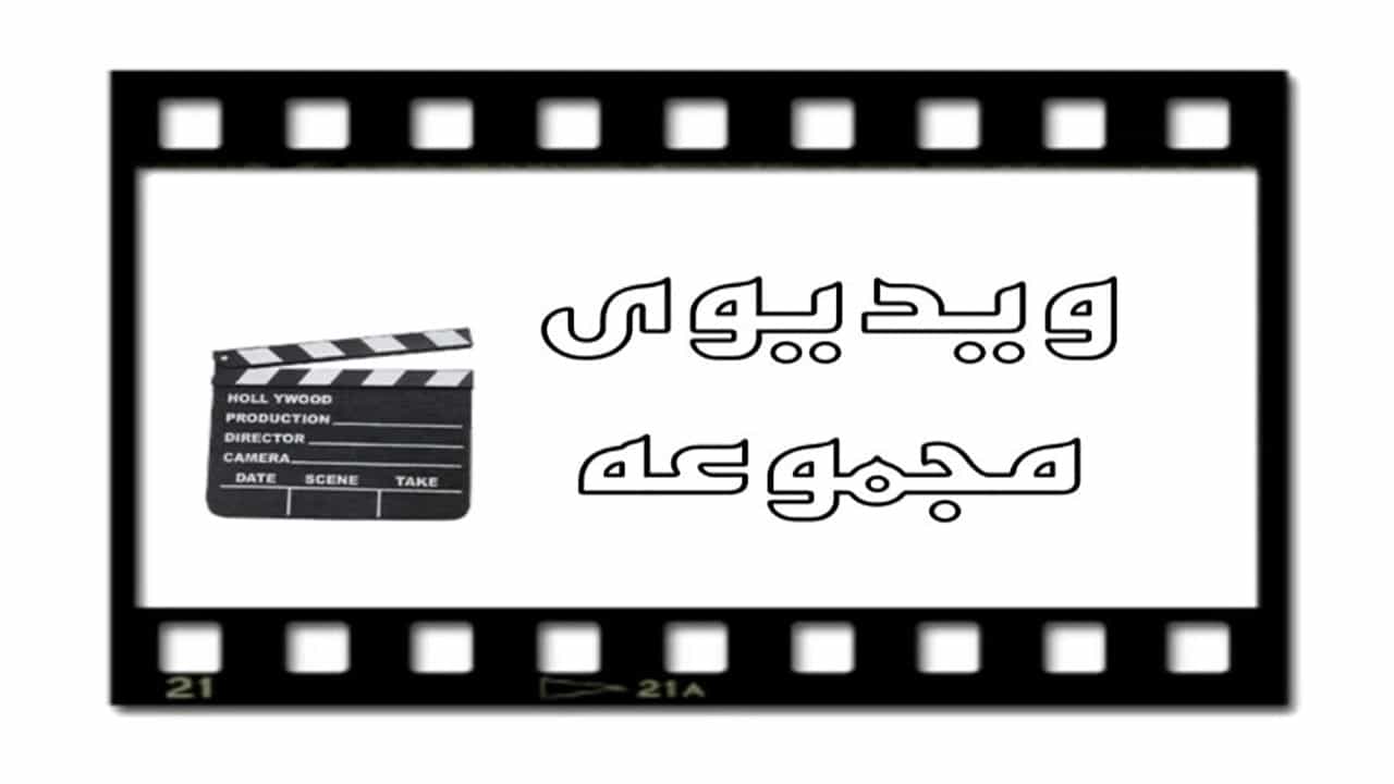 ویدیوهای پرورش دام گوسفند و قوچ رضاخانی اسفرورین